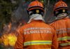 Corpo de Bombeiros extingue nove incêndios florestais e combate 13 neste início de semana