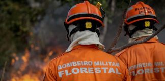 Corpo de Bombeiros extingue nove incêndios florestais e combate 13 neste início de semana