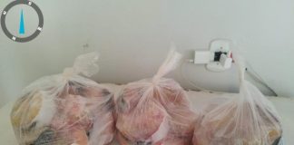 Sema e PM apreendem 6,8kg de cachara descaracterizada em cidade de MT