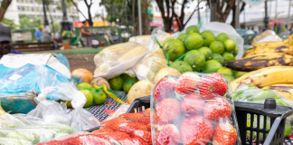 Praças da República e Alencastro recebem feira e ação da Ouvidoria