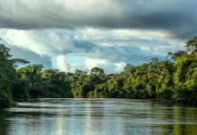 Governo de MT faz parceria com O.N.E. Amazon para investimento em projetos sustentáveis no Estado