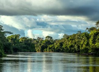 Governo de MT faz parceria com O.N.E. Amazon para investimento em projetos sustentáveis no Estado