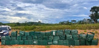Forças de segurança apreendem 35 toneladas de drogas em 2025 em Mato Grosso