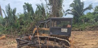 Batalhão Ambiental da PM intercepta área de desmatamento e apreende trator em cidade de MT