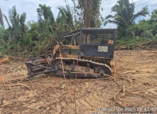 Batalhão Ambiental da PM intercepta área de desmatamento e apreende trator em cidade de MT