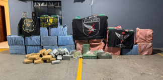 Forças de segurança de MT e RO apreendem 900 quilos de cocaína e causam prejuízo de R$ 16,2 mi às facções criminosas