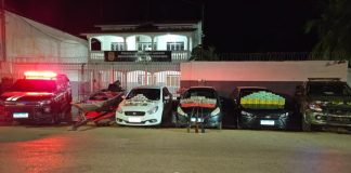 Forças de segurança apreendem 103 quilos de drogas e causam prejuízo de R$ 1,5 milhão às facções criminosas