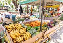 11ª Feira da Agricultura Familiar movimenta a Praça Alencastro nesta segunda