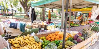 11ª Feira da Agricultura Familiar movimenta a Praça Alencastro nesta segunda