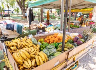 11ª Feira da Agricultura Familiar movimenta a Praça Alencastro nesta segunda