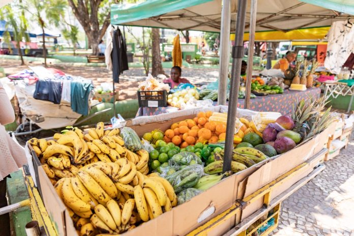 2025-10-06-13-18-090a8849-68e3f9d53ded3