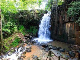Avanço das obras na Salgadeira altera dias de funcionamento do complexo em novembro