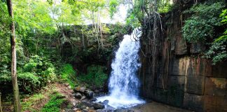 Avanço das obras na Salgadeira altera dias de funcionamento do complexo em novembro