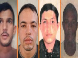 Saiba quem são os membros do CV presos por gerenciar o tráfico e monitorar ações policiais em cidade de MT