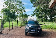 Polícias Civil e Militar prendem homem por estupro de vulnerável em cidade de MT