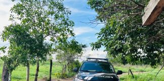 Polícias Civil e Militar prendem homem por estupro de vulnerável em cidade de MT