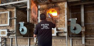 Polícia Civil incinera cinco quilos de entorpecentes apreendidos