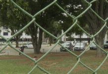 VEJA O MOMENTO em que o ex-presidente Jair Bolsonaro é preso pela Polícia Federal