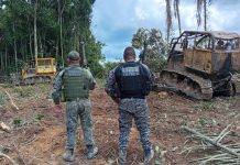 Polícia Militar apreende máquinas utilizadas em extração ilegal de madeiras em zona rural