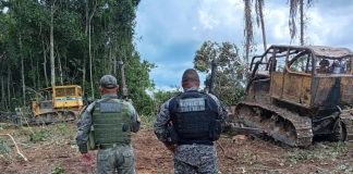 Polícia Militar apreende máquinas utilizadas em extração ilegal de madeiras em zona rural