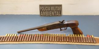 Companhia Ambiental prende homem com arma e munições em cidade de MT