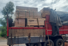 Batalhão Ambiental da PM apreende caminhão carregado com carga irregular de madeira