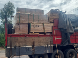 Batalhão Ambiental da PM apreende caminhão carregado com carga irregular de madeira