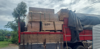 Batalhão Ambiental da PM apreende caminhão carregado com carga irregular de madeira