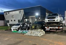 Forças de segurança apreendem 376 quilos de drogas e quatro armas de fogo; prejuízo ao crime de R$ 5 milhões
