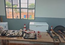 PM prende homem e apreende espingardas e 40 quilos de carnes de caça e pescado ilegal