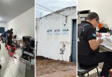 Saiba quais são as empresas acusadas de fraude fiscal milionária na exportação de grãos