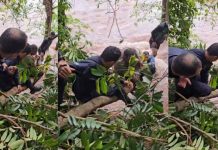 Criança de onze anos é surpreendida por “cabeça d’água” e segura em galho para não ser levado