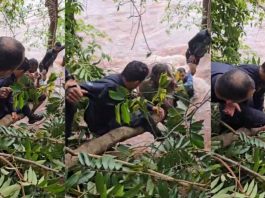 Criança de onze anos é surpreendida por “cabeça d’água” e segura em galho para não ser levado