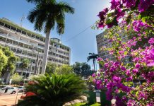 Prefeitura de Cuiabá paga R$ 290 mil a órfãos do feminicídio, amplia acolhimento e fortalece a rede de proteção