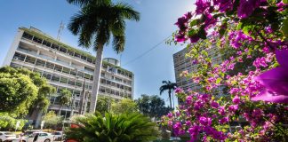 Prefeitura de Cuiabá paga R$ 290 mil a órfãos do feminicídio, amplia acolhimento e fortalece a rede de proteção