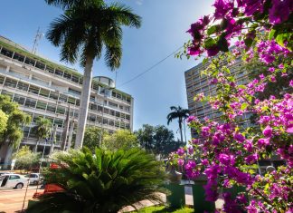 Prefeitura de Cuiabá paga R$ 290 mil a órfãos do feminicídio, amplia acolhimento e fortalece a rede de proteção