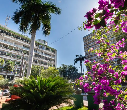 Prefeitura de Cuiabá paga R$ 290 mil a órfãos do feminicídio, amplia acolhimento e fortalece a rede de proteção