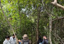 Polícia Civil localiza “cemitério” do tráfico em cidade e MT