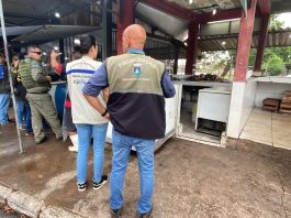 Prefeitura fecha Peixarias de Cuiabá após flagra irregularidades