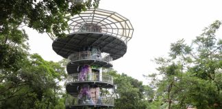 Mirante do Parque Mãe Bonifácia é reaberto após obras de revitalização