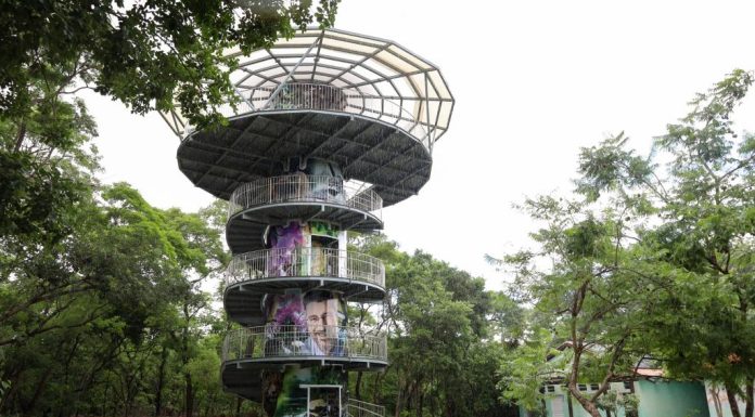 Mirante do Parque Mãe Bonifácia é reaberto após obras de revitalização