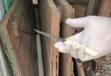 Polícia Civil prende autor de homicídio em Mirassol D’Oeste poucas horas após o crime