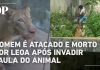 Homem invade jaula de leoa em zoológico de João Pessoa e morre após ataque