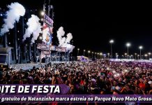 Veja imagens da marcha pela liberdade de Bolsonaro em Brasília