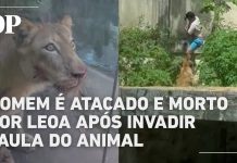 Homem invade jaula de leoa em zoológico de João Pessoa e morre após ataque