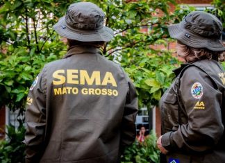 Concurso SEMA MT: Cesgranrio é definida como banca; 150 vagas!