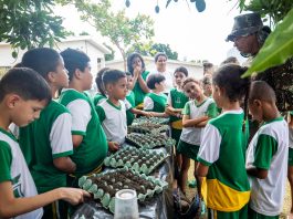Cuiabá conclui preparativos para receber mais de 61 mil alunos em 174 escolas na volta às aulas