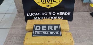Polícia Civil apreende tabletes de maconha enterrados debaixo de pé de manga em Lucas do Rio Verde