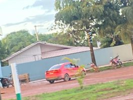 Polícias Civis de MT e RO prendem suspeito de tentativa de latrocínio e recuperam veículo roubado