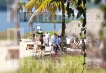 Vídeo mostra André Esteves e Pastore em encontro com Toffoli em resort. Assista